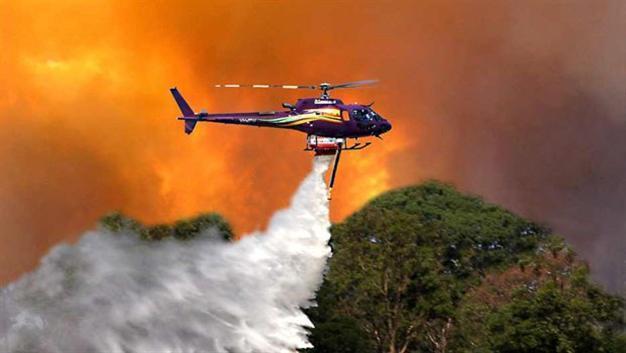 Russian pilot scoops water from zoo pond to douse fire, birds perished