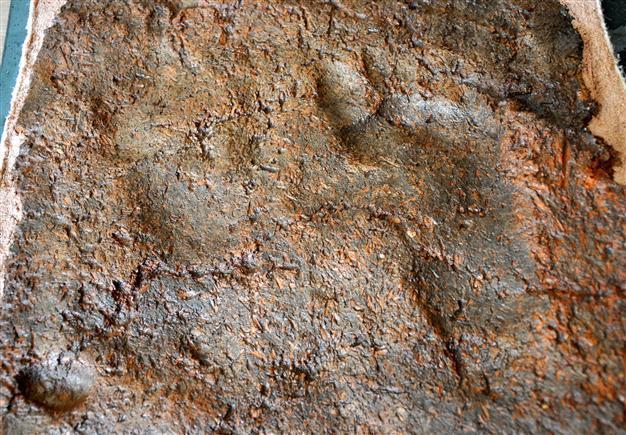 Ancient footprints discovered in Bursa