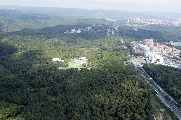 An aerial tour of Istanbuls disappearing forests
