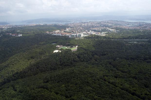 An aerial tour of Istanbuls disappearing forests
