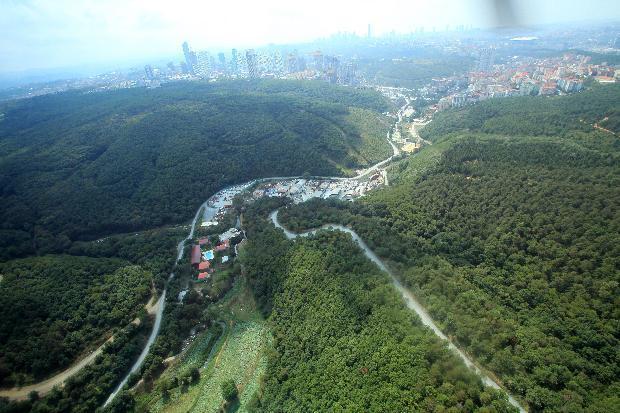 An aerial tour of Istanbuls disappearing forests