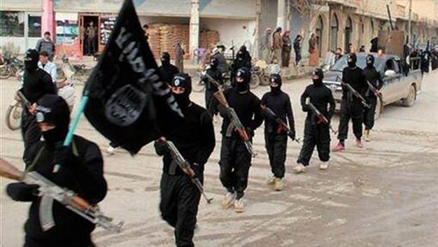 Arabs back anti-ISIL statement as Turkey abstains