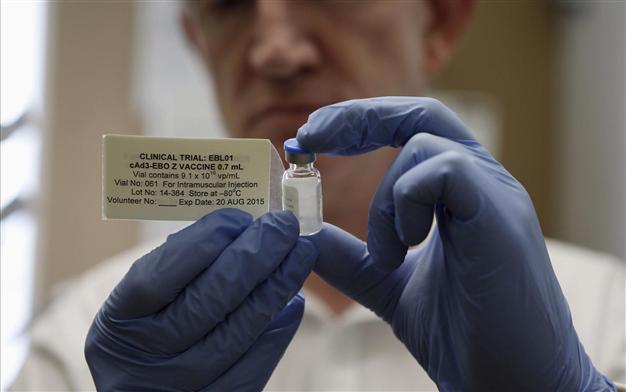 Experimental Ebola vaccine doses ready by 2015: WHO