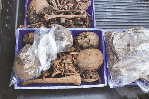 Skeletons found in Roman tomb