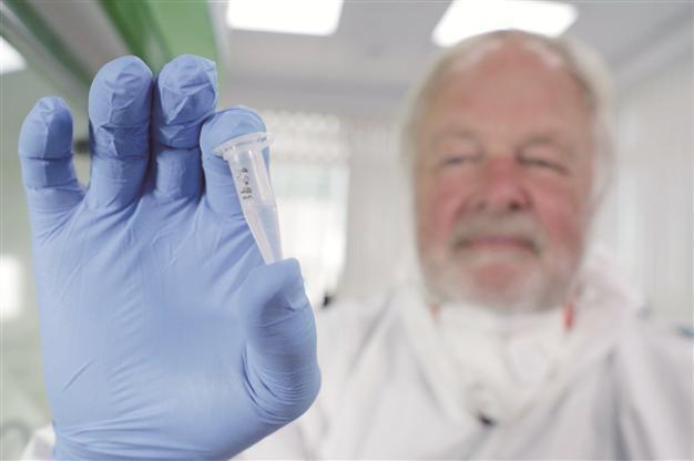 Bigfoot hair samples mostly from bears and wolves