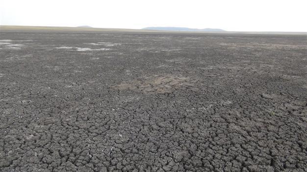 Eastern Turkish bird sanctuary threatened due to drought