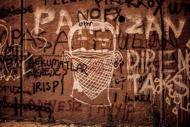 Turkish scribe sentenced to prison for insulting Erdoğan in book on Gezi protests