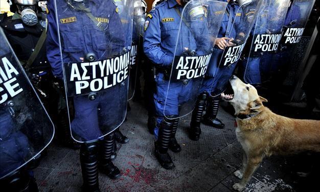 Loukanikos, Greeces protest dog, dies of heart attack