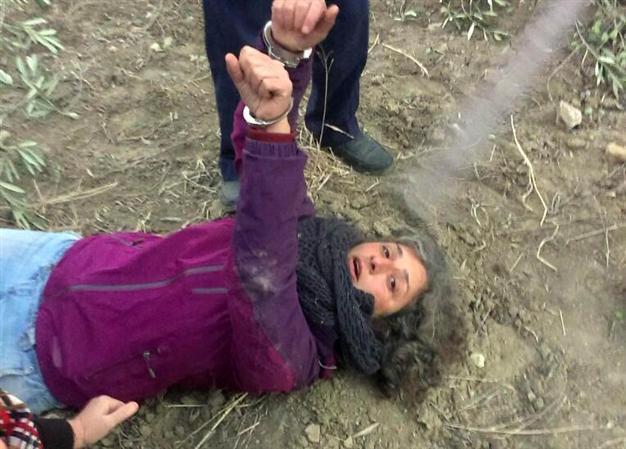 Soma locals beaten by energy firm’s private security after protesting construction on olive plantation