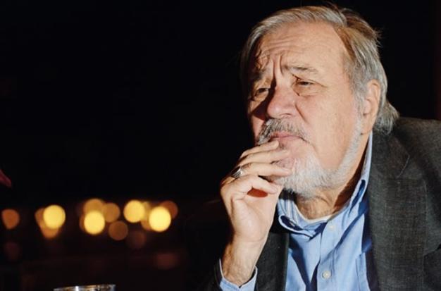 Ottomanism a guise for Islamic ambitions, prominent historian says