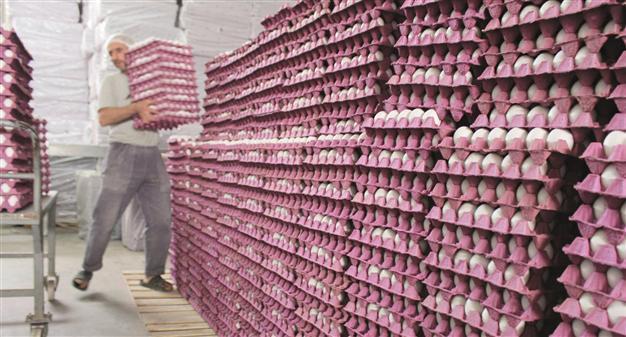 Russia sanctions, Iraq conflict slow exports