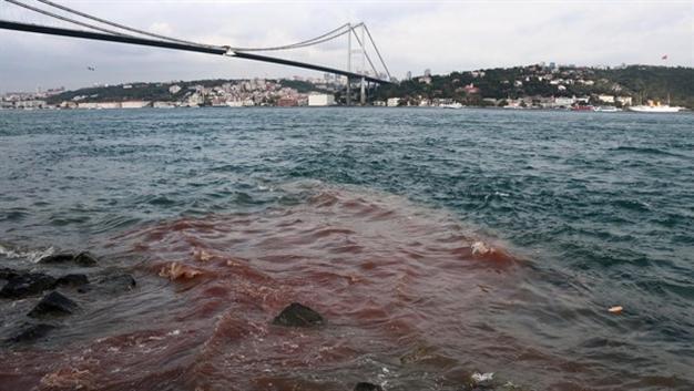 Bosphorus waters change color with animal blood
