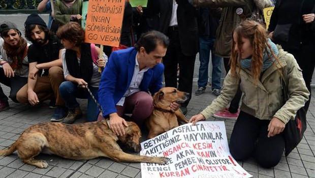 Bosphorus waters change color with animal blood