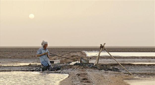 Bozcaada to host maiden ecological documentary festival