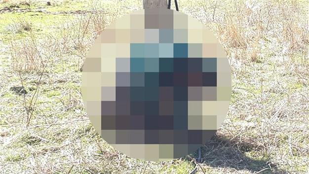 Kidnapped Turkish guard murdered execution-style