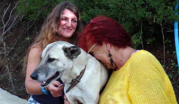 IN PHOTOS: Scottish cyclist interrupts world tour to save stray dog