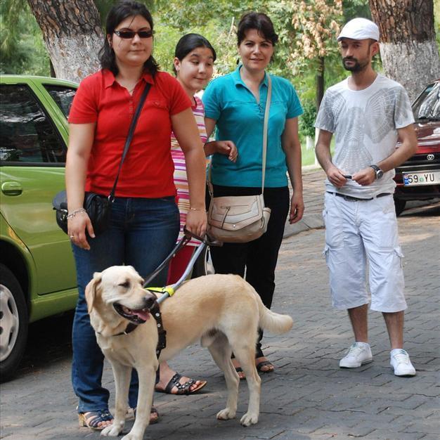 Blind woman not allowed to enter shops with guide dog in Aydın