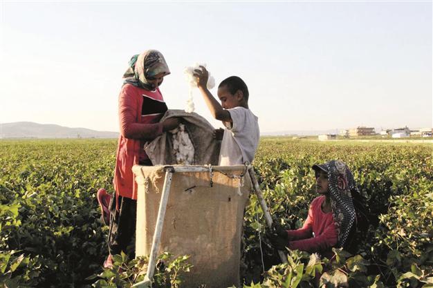 35 pct of farming laborers under age of 20 in Turkey