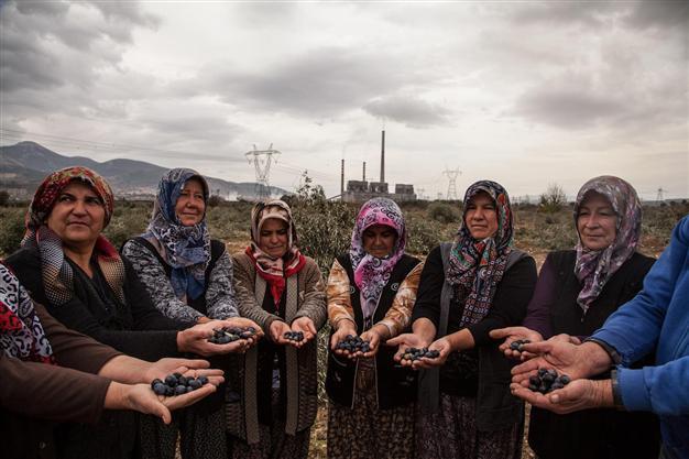 Justice for olive trees blocks coal plant plan