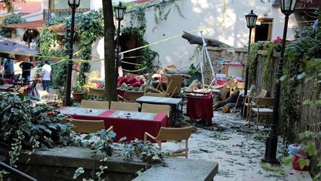 Tree kills two in Istanbul cafe