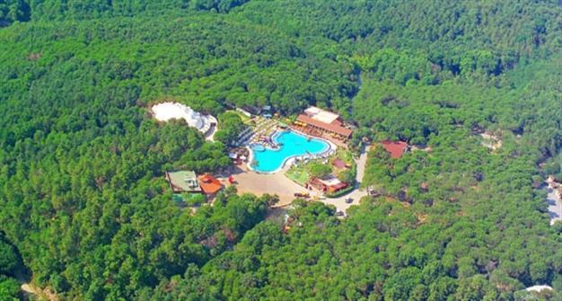 Municipality rejects permit for construction in Istanbul forest