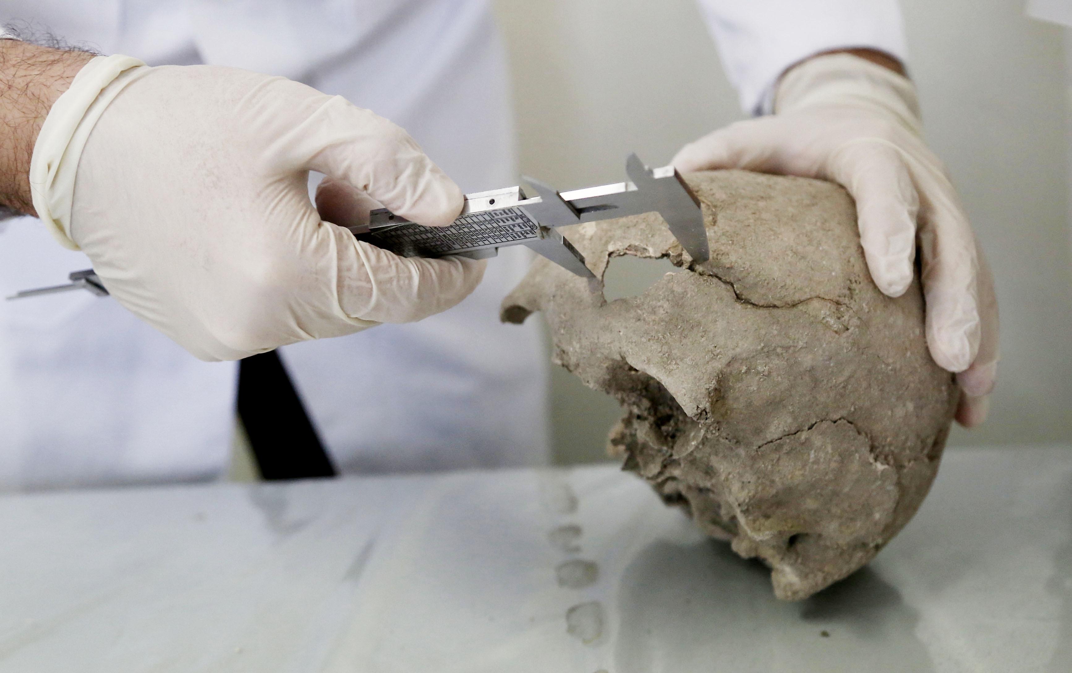 A summary of archaeological finds, artistic achievements and tragic losses in 2014