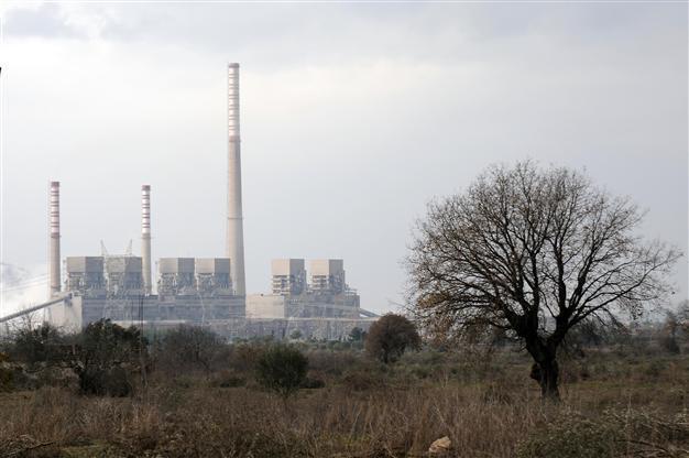 ‘Natural gas’ lobby behind dismissal of coal plant on olive groove, head of firm claims