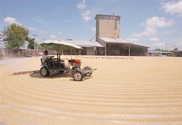 Russia’s grain exports ‘stop’ amid concerns