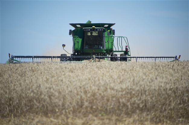 Turkey’s 2014 wheat, barley production falls