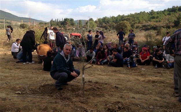 Ruling on power plant project in Soma olive grove leaked to company