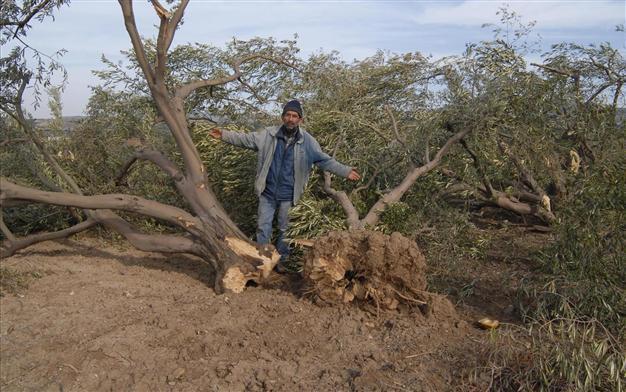 Nationalist leader charges government with ‘tyranny’ in Soma olive grove