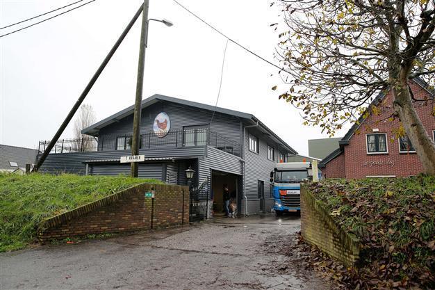 Britain finds bird flu on duck farm, not deadly H5N1 strain