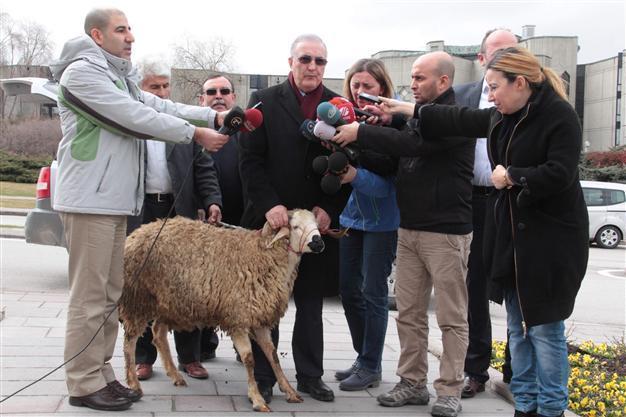 Opposition deputy ‘rams’ Turkish parliament