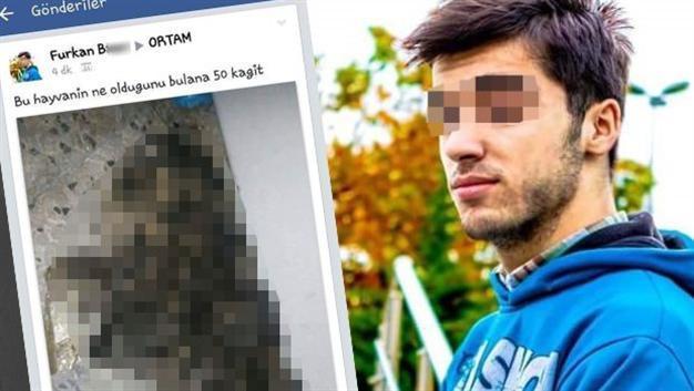 Police search for man who burned cat, boasting on social media