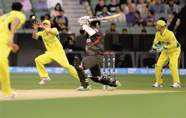 Curtain up on Cricket World Cup marathon