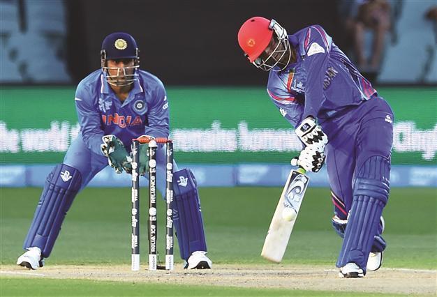 Afghanistan look to extend World Cup fairytale
