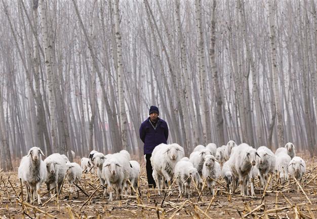China plans rural land reform trial