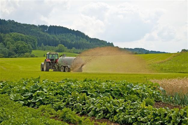 Turkey to pay 2 billion liras to support farmers by end of February: PM