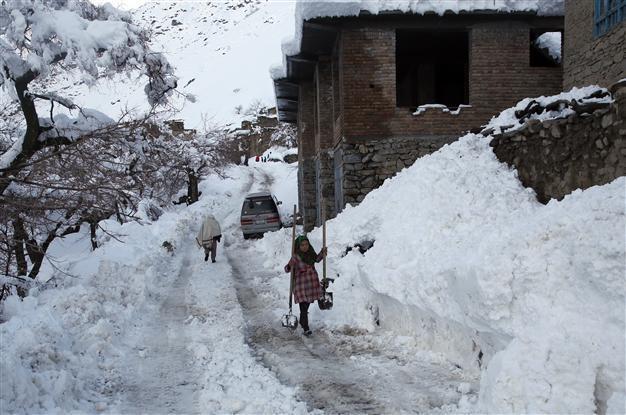 Death toll from Afghan avalanches tops 200: officials