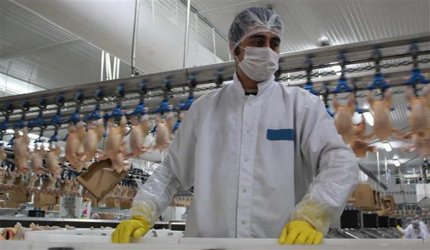 Turkey’s poultry sector faces risk of losing biggest export market