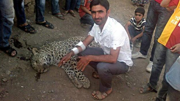 Greenpeace member judge acquits leopard killers in Turkey