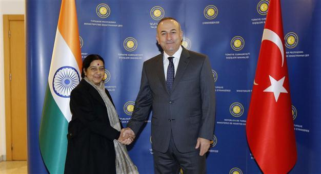 Turkish foreign minister discusses ties with Indian counterpart