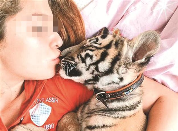 Wild animal cubs growing trend among Turkey’s rich kids