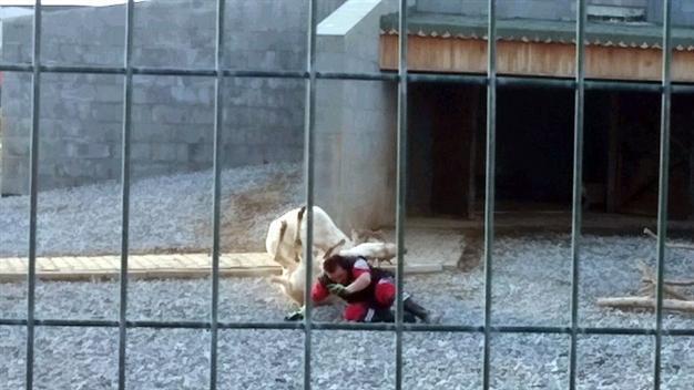 PHOTOS: Deer fight in Turkish zoo turns on keeper