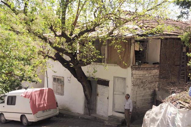 Turkish man allows tree to grow inside house
