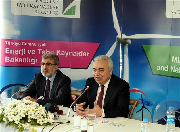 Nuclear energy ‘a must’ for Turkey: IEA chief economist