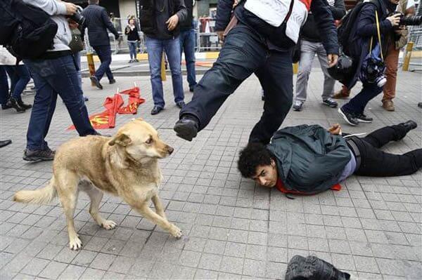 As it happened: Turkey marks tense May Day as police enforce lockdown in central Istanbul