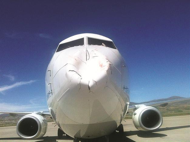Bird migration routes to be altered by signals at Istanbul’s third airport