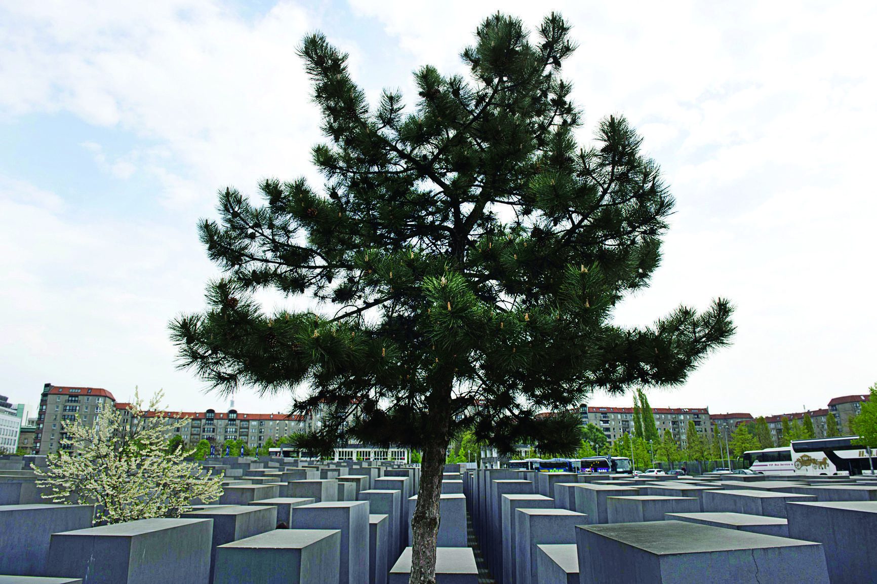 Memorial of Murdered Jews in Berlin a top tourist draw