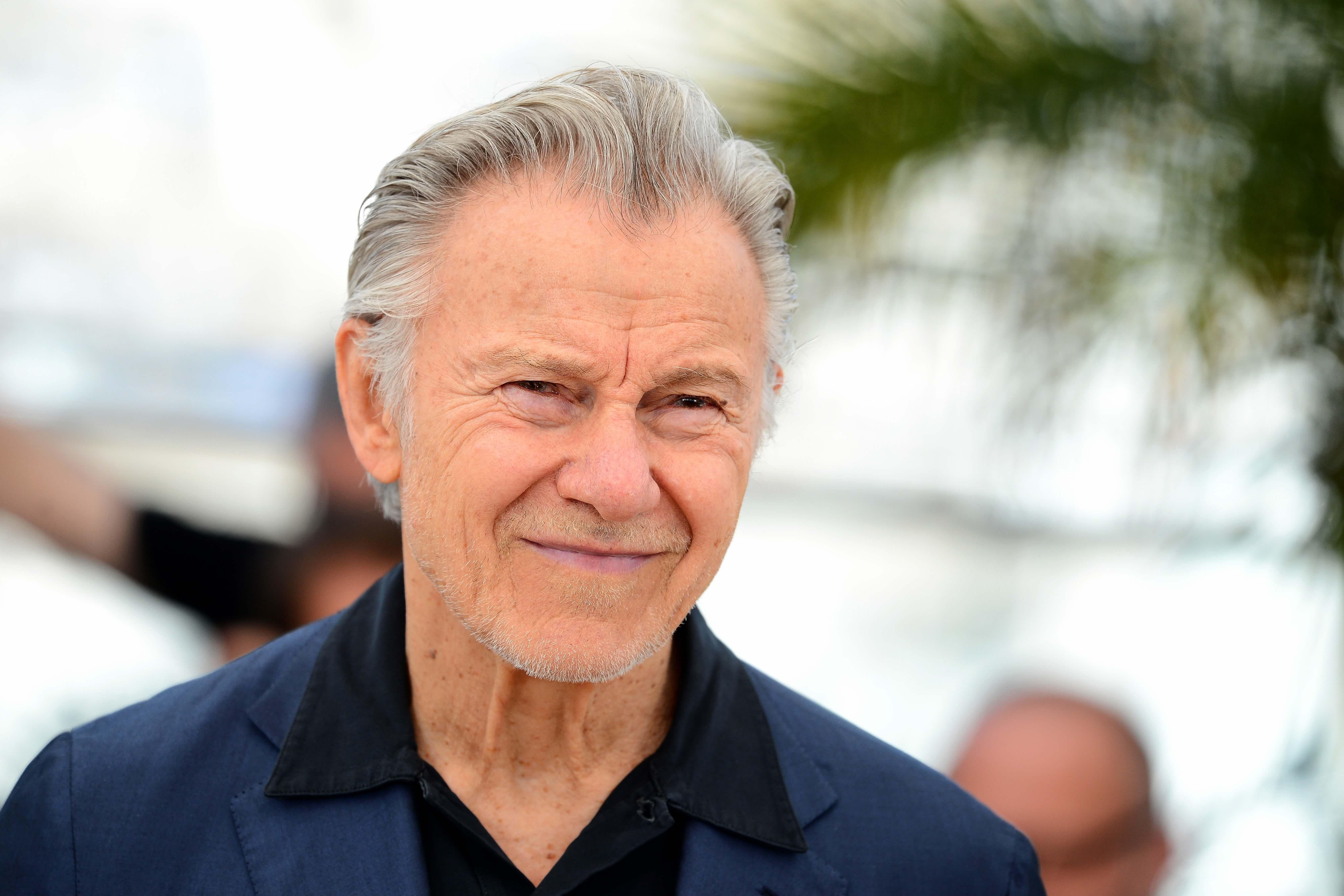 With names like Lewis and Keitel, IST Festival is ready to start